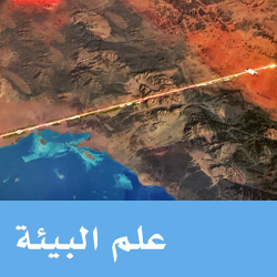 علم البيئة
